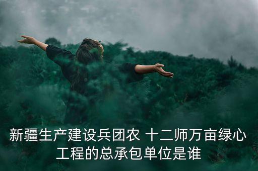 新疆生產(chǎn)建設(shè)兵團農(nóng) 十二師萬畝綠心工程的總承包單位是誰