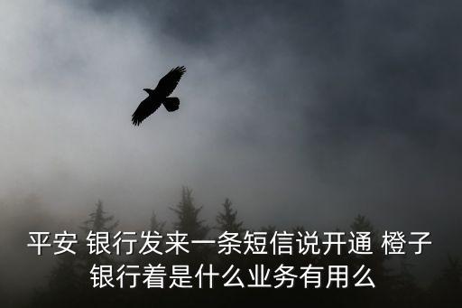 平安 銀行發(fā)來(lái)一條短信說(shuō)開通 橙子 銀行著是什么業(yè)務(wù)有用么