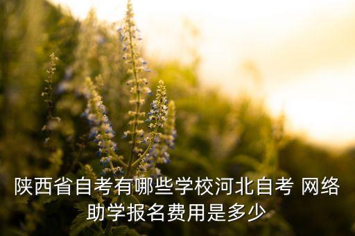 中國農業(yè)銀行網絡課堂