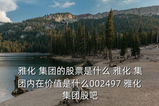  雅化 集團(tuán)的股票是什么 雅化 集團(tuán)內(nèi)在價值是什么002497 雅化 集團(tuán)股吧