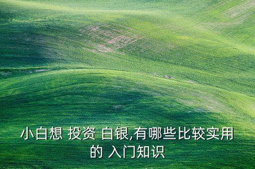 小白想 投資 白銀,有哪些比較實(shí)用的 入門(mén)知識(shí)