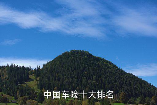 中國(guó)車(chē)險(xiǎn)十大排名