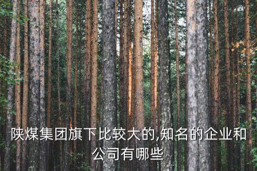 陜西彬長礦業(yè)集團有限公司煤化工分公司,2、陜西彬長礦業(yè)集團有限公司