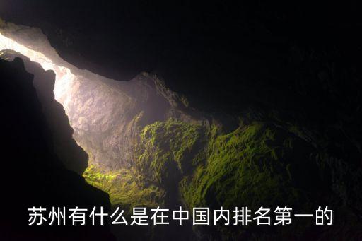 蘇州有什么是在中國(guó)內(nèi)排名第一的