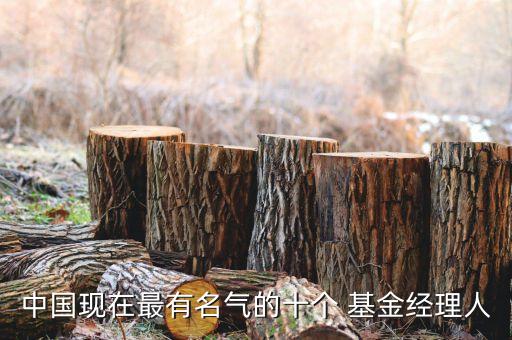 中國現(xiàn)在最有名氣的十個 基金經理人