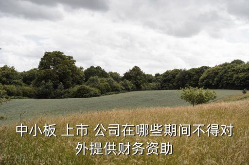 中小板 上市 公司在哪些期間不得對外提供財務資助