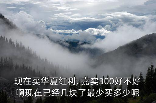 現(xiàn)在買華夏紅利, 嘉實(shí)300好不好啊現(xiàn)在已經(jīng)幾塊了最少買多少呢