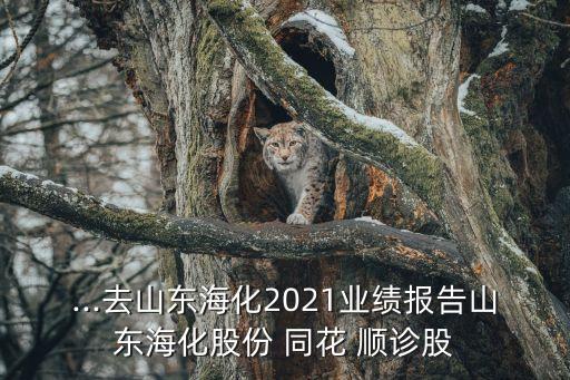...去山東?；?021業(yè)績報告山東?；煞?同花 順診股