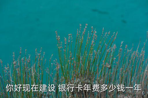 你好現(xiàn)在建設(shè) 銀行卡年費(fèi)多少錢(qián)一年