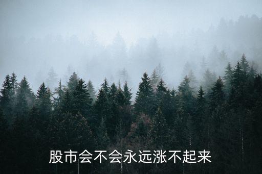 股市會不會永遠(yuǎn)漲不起來