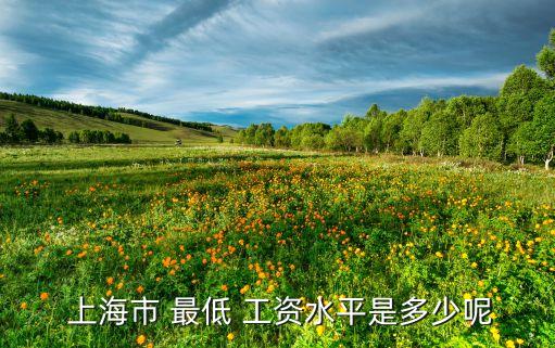  上海市 最低 工資水平是多少呢