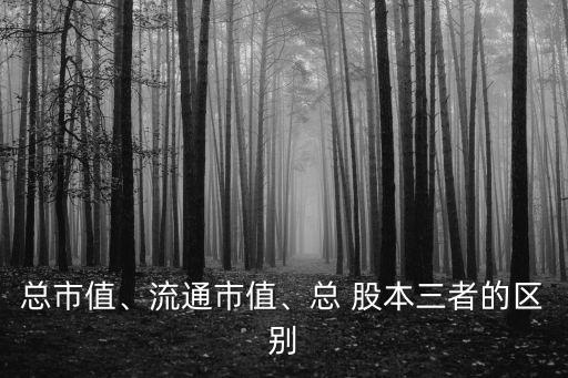 總市值、流通市值、總 股本三者的區(qū)別