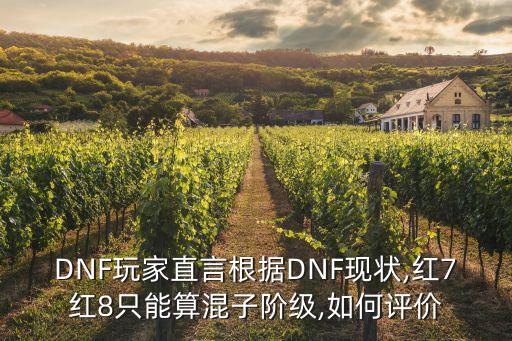 DNF玩家直言根據DNF現(xiàn)狀,紅7紅8只能算混子階級,如何評價