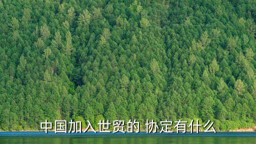 中國(guó)加入世貿(mào)的 協(xié)定有什么
