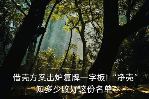  借殼方案出爐復(fù)牌一字板!“凈殼”知多少收好這份名單