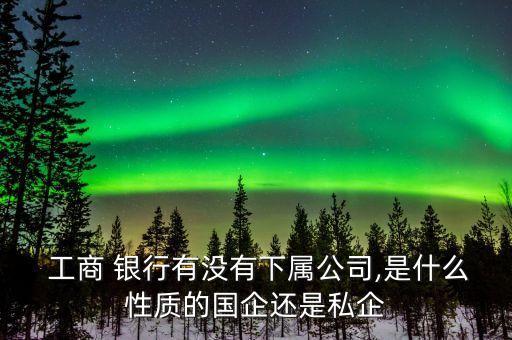  工商 銀行有沒有下屬公司,是什么性質的國企還是私企