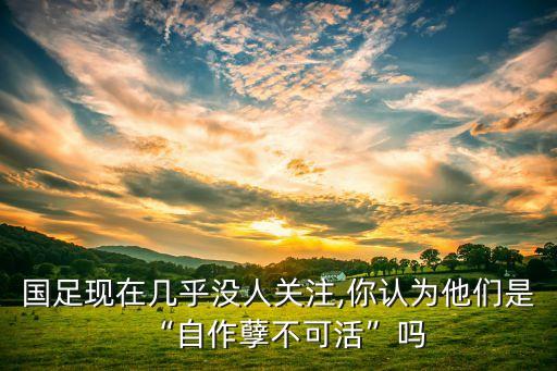 國足現(xiàn)在幾乎沒人關注,你認為他們是“自作孽不可活”嗎