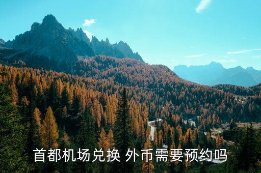 首都機場兌換 外幣需要預(yù)約嗎