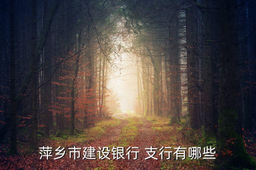 萍鄉(xiāng)市建設銀行 支行有哪些