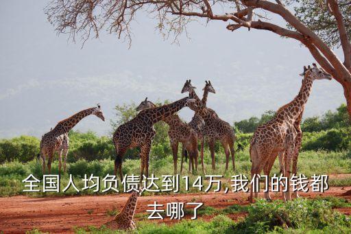 全國人均負(fù)債達(dá)到14萬,我們的錢都去哪了