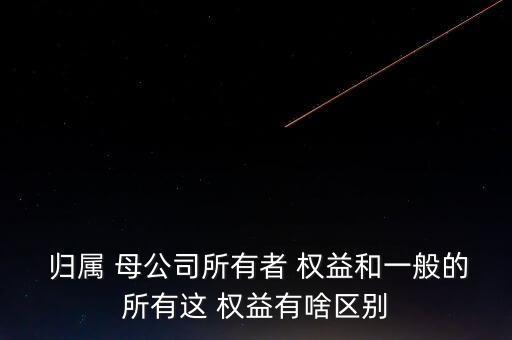 歸屬于母公司的股東權益