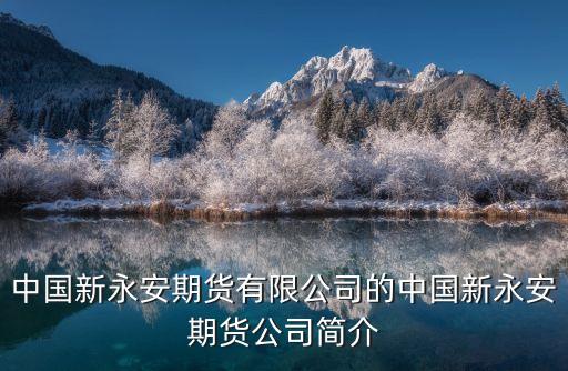中國新永安期貨有限公司的中國新永安期貨公司簡(jiǎn)介