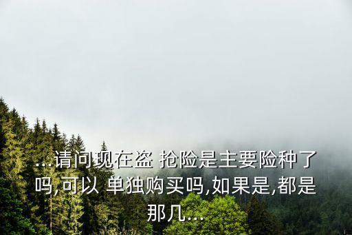 ...請問現(xiàn)在盜 搶險(xiǎn)是主要險(xiǎn)種了嗎,可以 單獨(dú)購買嗎,如果是,都是那幾...