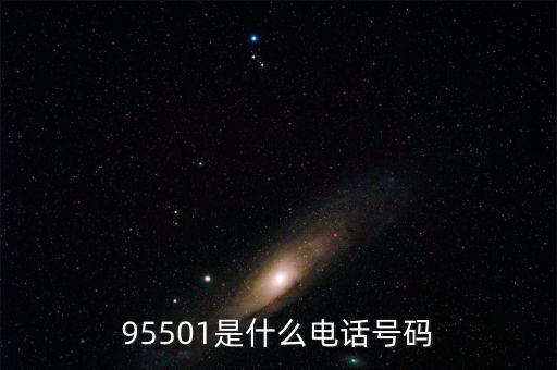 95501是什么電話號(hào)碼