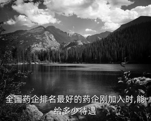 全國藥企排名最好的藥企剛加入時(shí),能給多少待遇