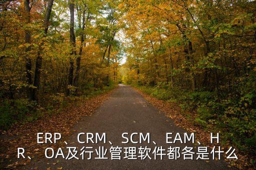 ERP、CRM、SCM、EAM、HR、 OA及行業(yè)管理軟件都各是什么