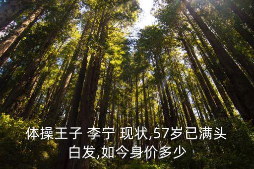 李寧公司2015年現狀