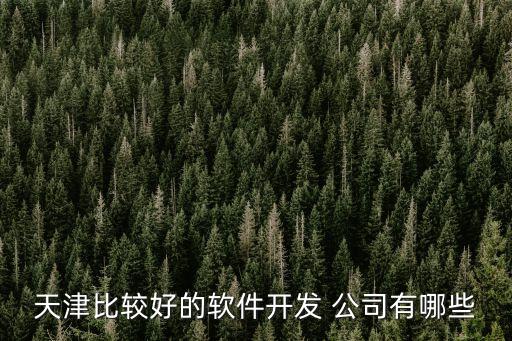 天津比較好的軟件開發(fā) 公司有哪些