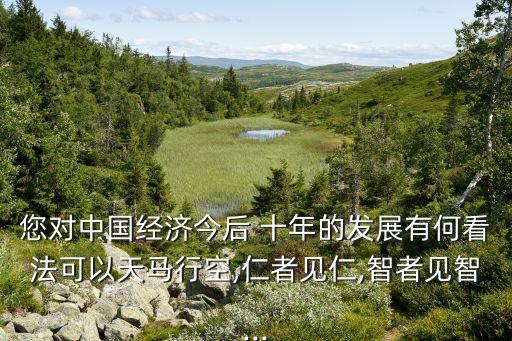 您對中國經(jīng)濟(jì)今后 十年的發(fā)展有何看法可以天馬行空,仁者見仁,智者見智...