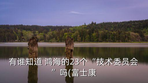鴻海集團(tuán)股東,鴻海科技集團(tuán)股東