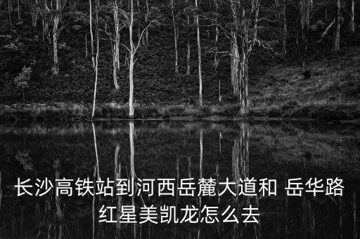 長沙高鐵站到河西岳麓大道和 岳華路紅星美凱龍?jiān)趺慈? class=