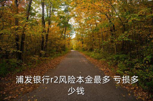  浦發(fā)銀行r2風(fēng)險(xiǎn)本金最多 虧損多少錢(qián)