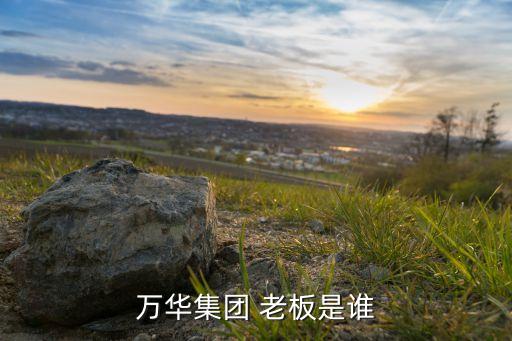 萬(wàn)華集團(tuán) 老板是誰(shuí)