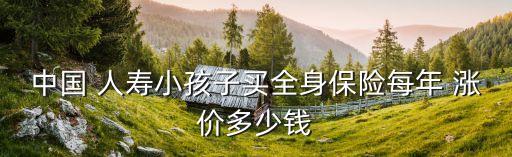 中國(guó) 人壽小孩子買(mǎi)全身保險(xiǎn)每年 漲價(jià)多少錢(qián)