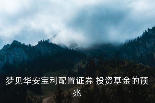夢見華安寶利配置證券 投資基金的預兆