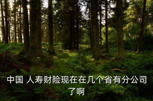 中國(guó)人壽償付能力充足率
