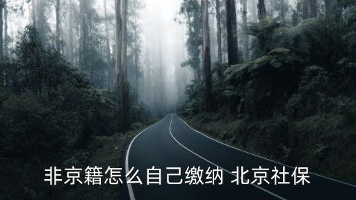 外地戶(hù)口在北京交養(yǎng)老保險(xiǎn)