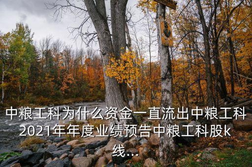 中糧工科為什么資金一直流出中糧工科2021年年度業(yè)績預(yù)告中糧工科股k線...