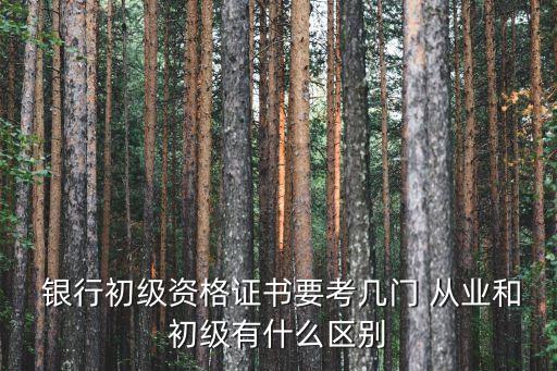  銀行初級(jí)資格證書(shū)要考幾門(mén) 從業(yè)和初級(jí)有什么區(qū)別