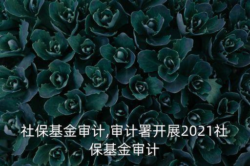 美國(guó)社?；饘徲?jì),審計(jì)署開(kāi)展2021社保基金審計(jì)