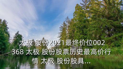 太極計(jì)算機(jī)股份有限公司年報(bào),北京太極計(jì)算機(jī)股份有限公司是國企嗎