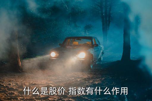 什么是股價(jià) 指數(shù)有什么作用