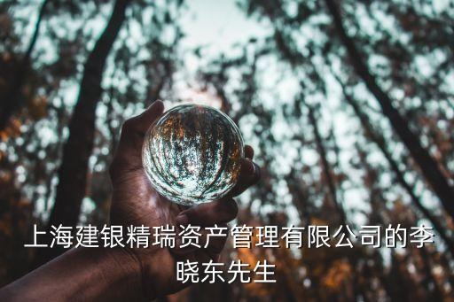  上海建銀精瑞資產管理有限公司的李曉東先生