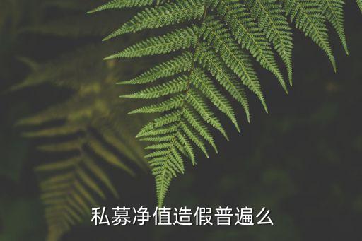 私募投資管理公司盡調報告,投資管理公司是私募嗎