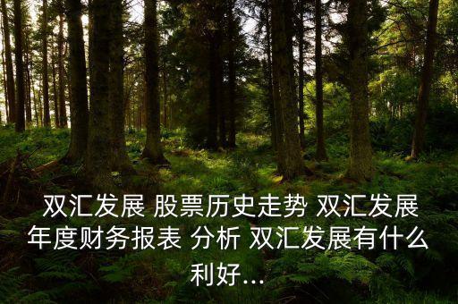  雙匯發(fā)展 股票歷史走勢 雙匯發(fā)展年度財(cái)務(wù)報(bào)表 分析 雙匯發(fā)展有什么利好...