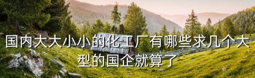 國內(nèi)大大小小的化工廠有哪些求幾個(gè)大型的國企就算了